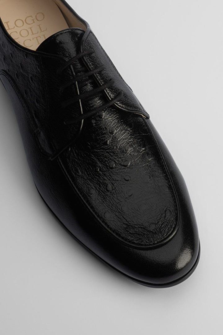 LOGO KENSINGTON LACE UPS