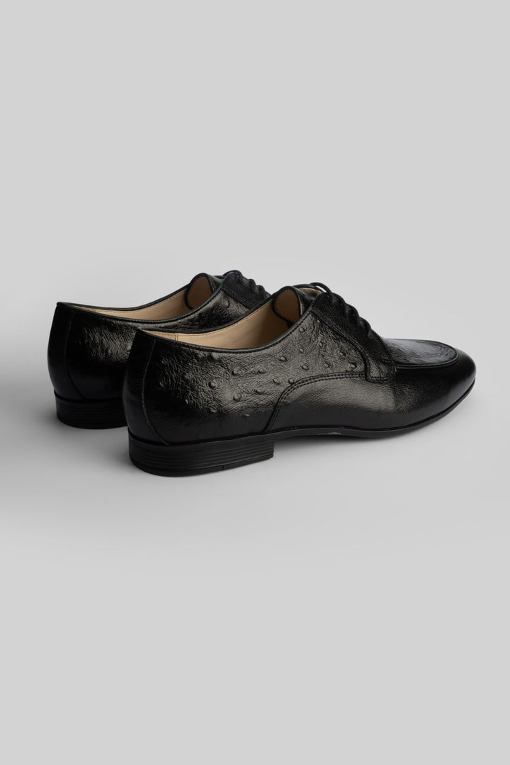 LOGO KENSINGTON LACE UPS