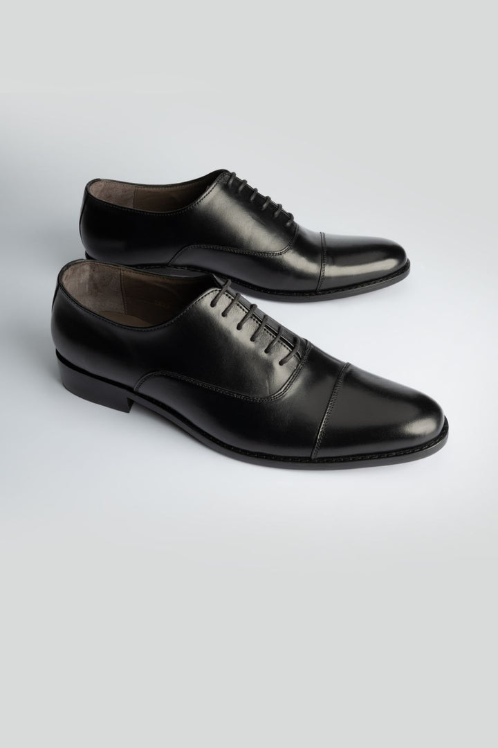 LOGO ASHBOURNET LACE UPS