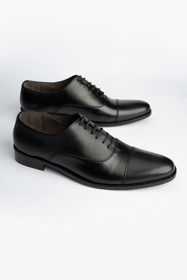 LOGO ASHBOURNET LACE UPS