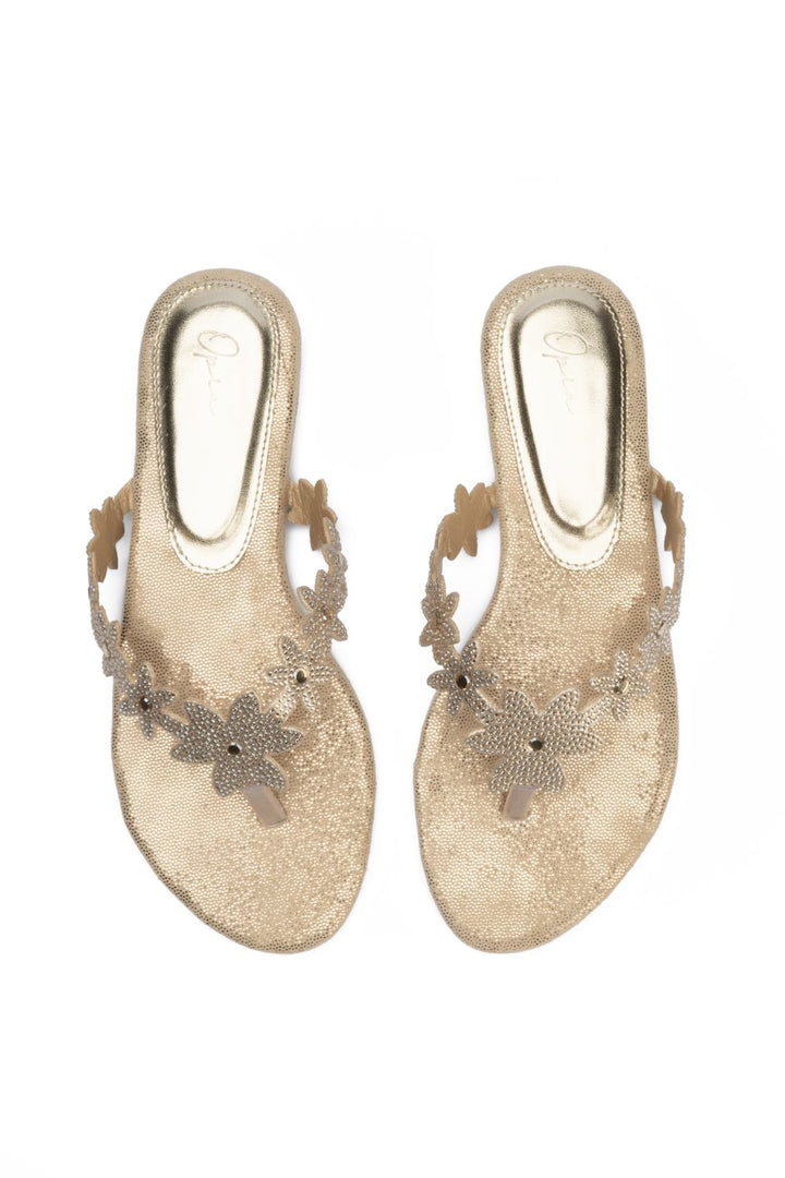 OPIA PARAIBA SLIDES