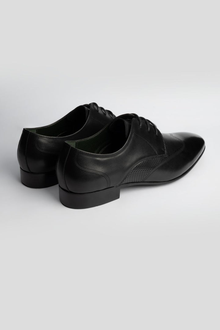 LOGO ASHWICK LACE UPS