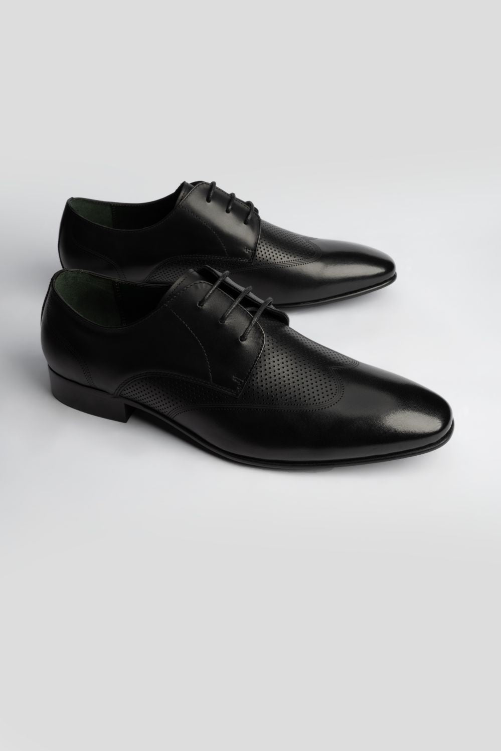 LOGO ASHWICK LACE UPS