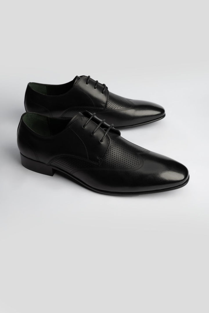 LOGO ASHWICK LACE UPS