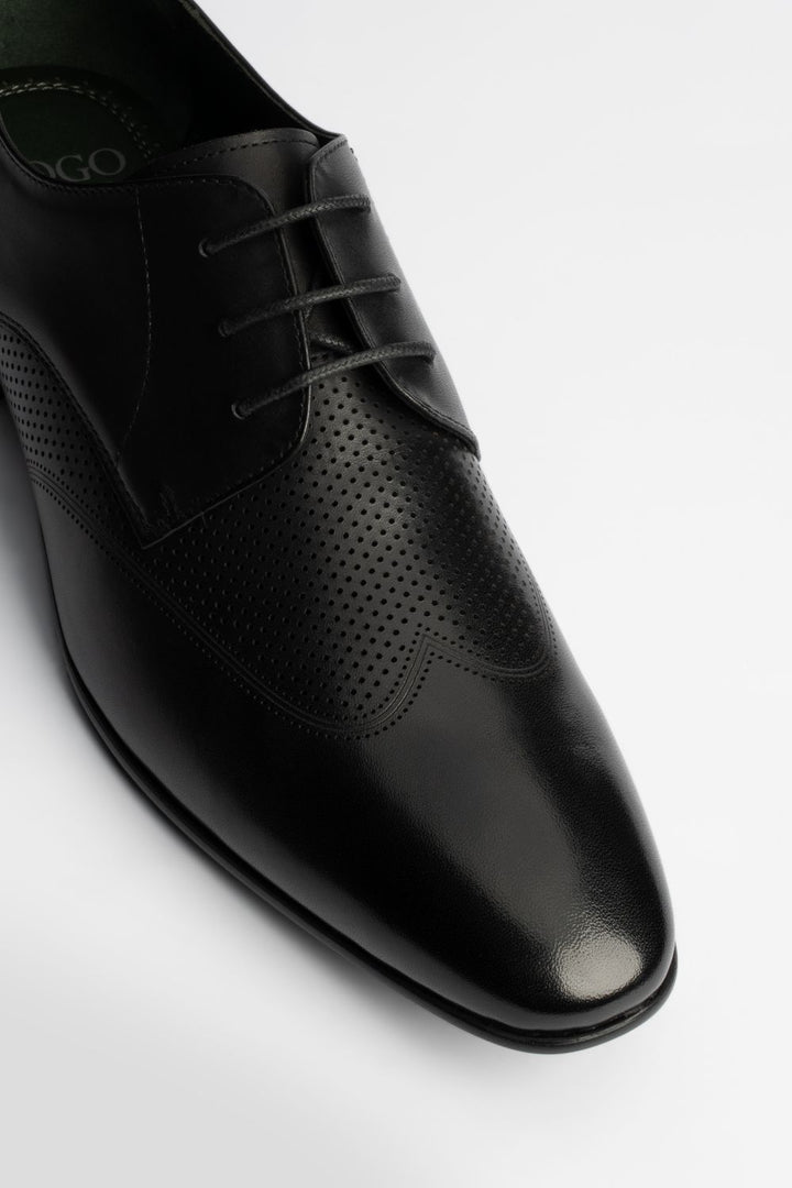 LOGO ASHWICK LACE UPS